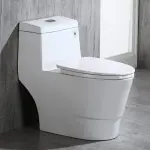 RIMLESS TOILET